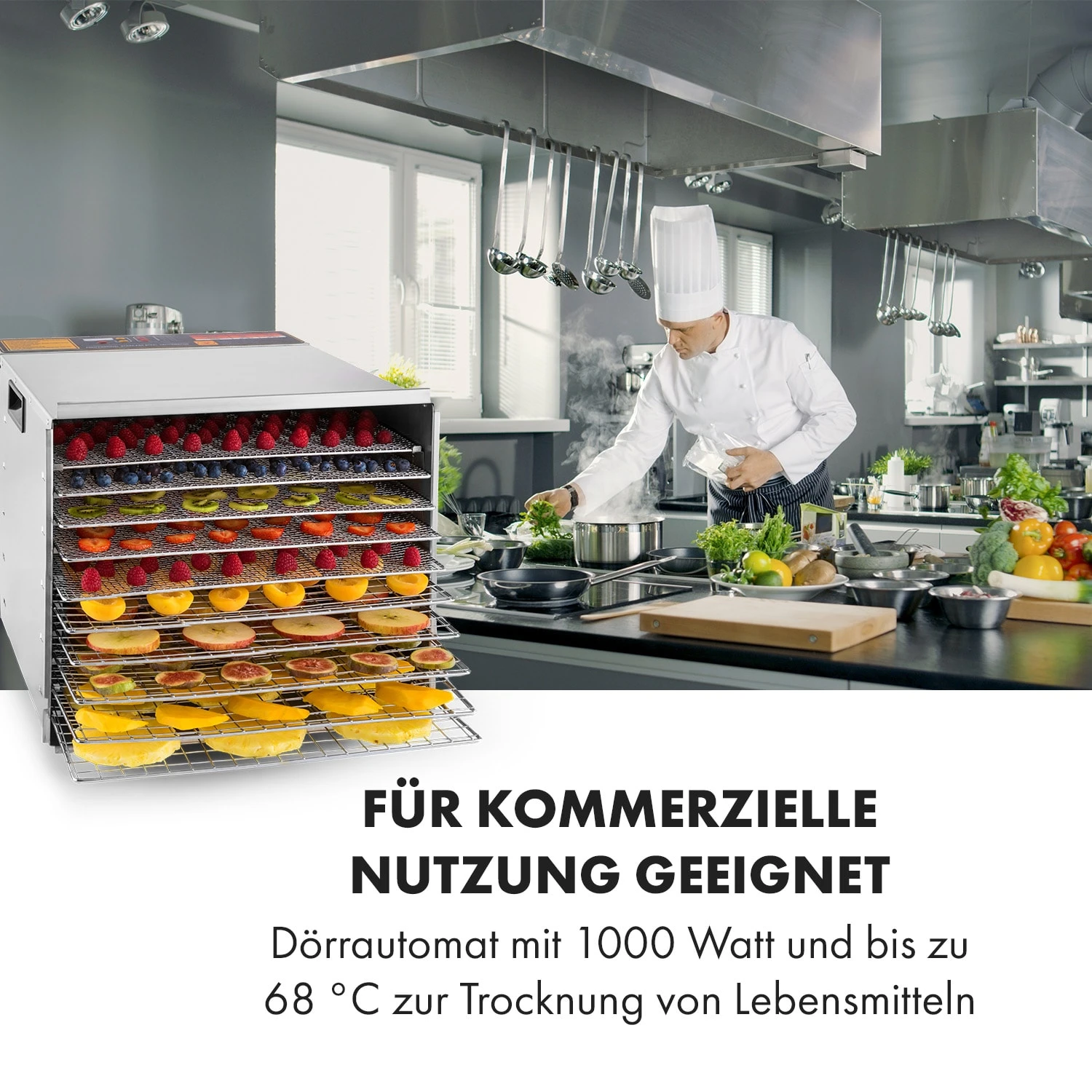 Fruit Jerky Steel 10 Dörrautomat 10 Etagen 1000 W Fläche: 1,5 M² Timer - Image 2