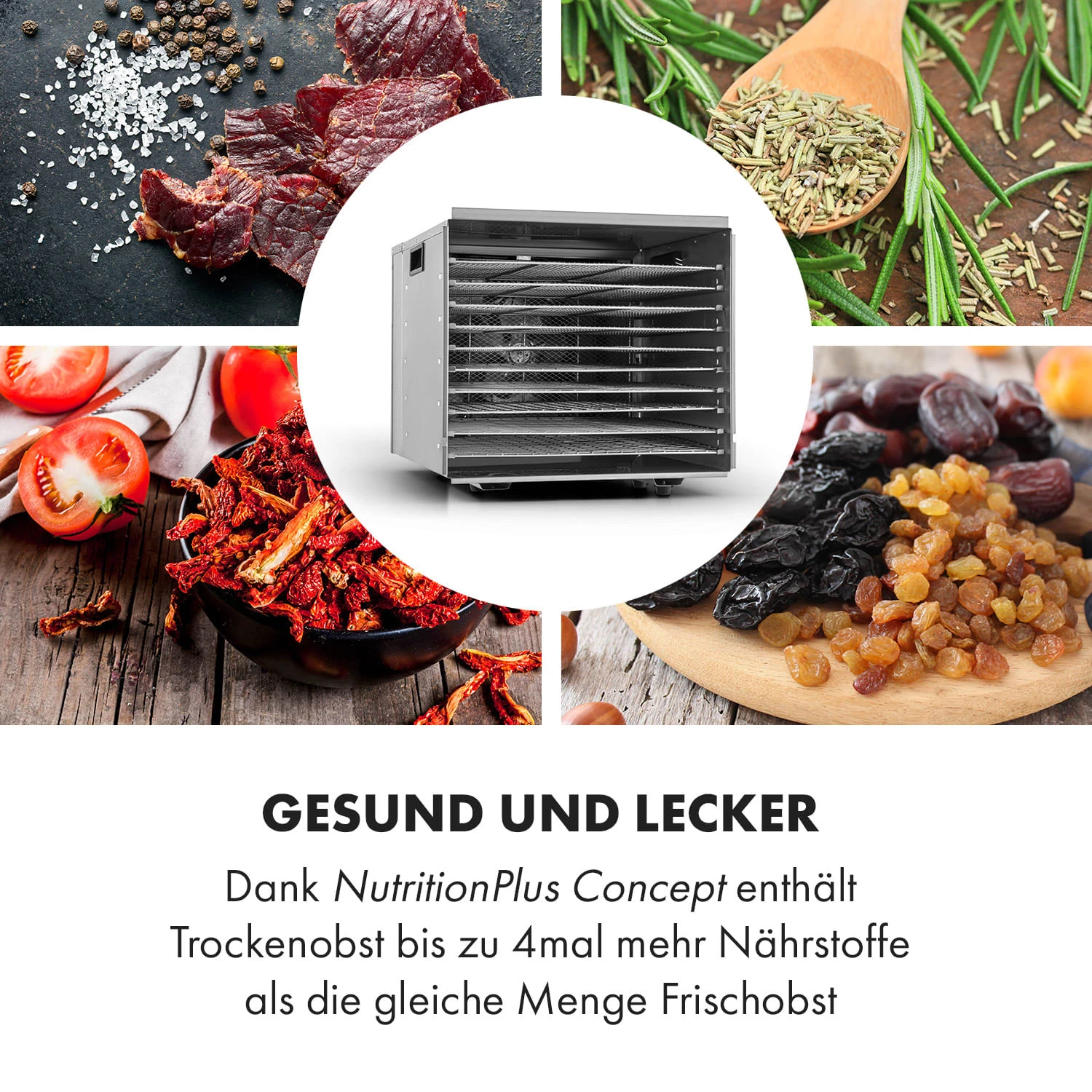 Fruit Jerky Steel 10 Dörrautomat 10 Etagen 1000 W Fläche: 1,5 M² Timer - Image 5